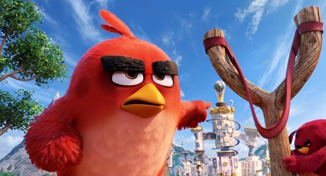 'Angry Birds' flocks to No. 1 over 'Neighbours,' 'Nice Guys' | iNFOnews.ca 'Angry Birds' flocks to No. 1 over 'Neighbours,' 'Nice Guys' | iNFOnews.ca