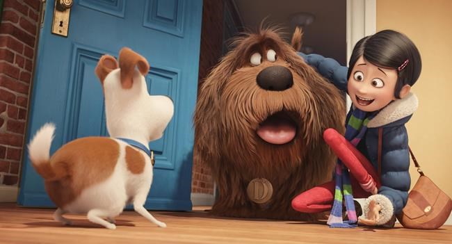 Box Office Top 20: 'Pets' kicks 'Dory' out of top spot | iNFOnews.ca