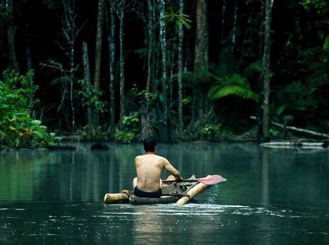 Film: Epic clash over Amazon is a gripping real-life drama | iNFOnews.ca