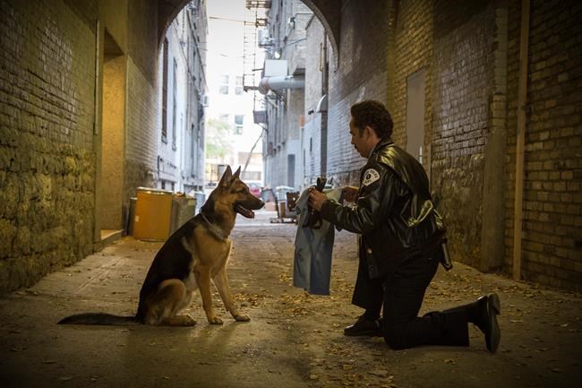 'A Dog's Purpose' opens to $18.4 million amid controversy | iNFOnews.ca