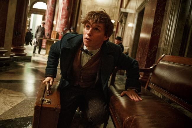 Leftovers 'Moana,' 'Fantastic Beasts' rule box office again | iNFOnews.ca