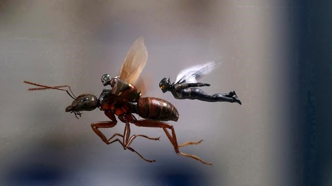 Box office top 20: 'Ant-Man and the Wasp' stings with $75.8M | iNFOnews.ca