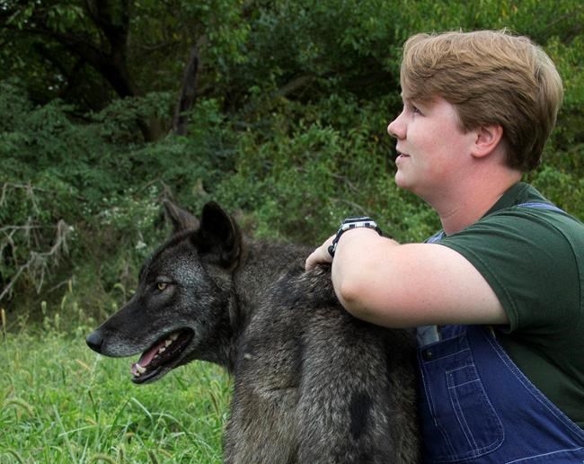 Deputies fired 8 gunshots to subdue lion after fatal attack | iNFOnews.ca