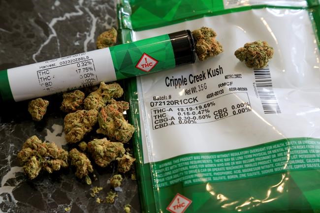 Should states set pot policy by its potency? Some say yes | iNFOnews.ca Should states set pot policy by its potency? Some say yes | iNFOnews.ca