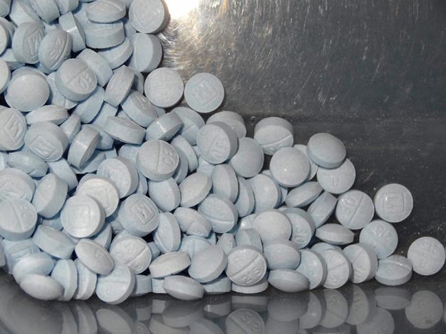 Most US opioid overdose deaths accidental, 4% are suicide | iNFOnews.ca