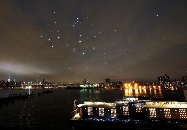 2,000 LED-tagged pigeons stage show in NYC sky | iNFOnews.ca 2,000 LED-tagged pigeons stage show in NYC sky | iNFOnews.ca