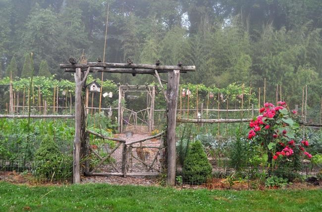 Vegetable gardens can be pretty as well as functional | iNFOnews.ca Vegetable gardens can be pretty as well as functional | iNFOnews.ca