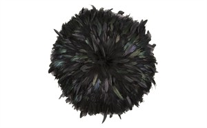 Right at Home: Feather motifs take off as a trend in decor | iNFOnews.ca CP31290690