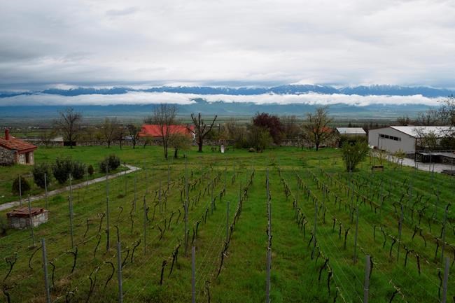 Ancient churches and origins of wine in Republic of Georgia | iNFOnews.ca Ancient churches and origins of wine in Republic of Georgia | iNFOnews.ca