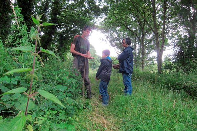 Sea beet leaves and elderflower: Learning to forage for food | iNFOnews.ca