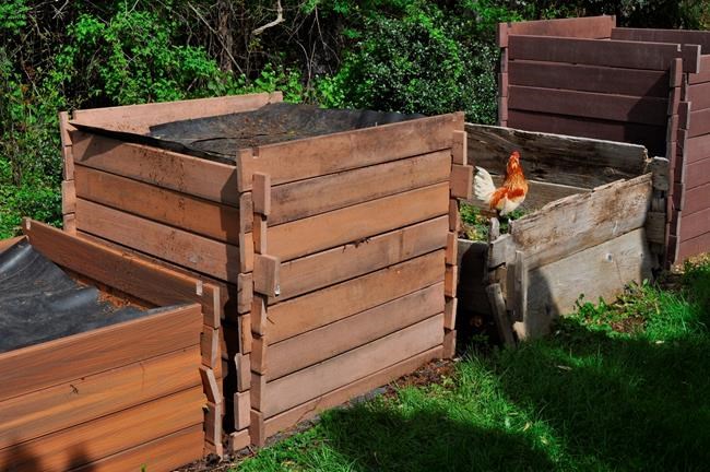 Autumn's a good time for making compost, and a bin is key | iNFOnews.ca