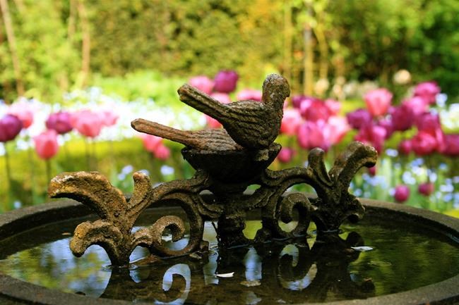 Antiques can add personality, focal point to a garden | iNFOnews.ca