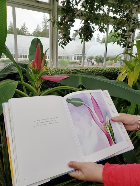 Botanical Garden show highlights O'Keeffe's Hawaii paintings | iNFOnews.ca Botanical Garden show highlights O'Keeffe's Hawaii paintings | iNFOnews.ca