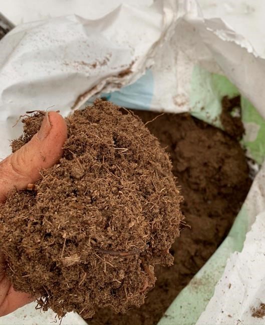 Consider easy, more sustainable alternatives to peat moss | iNFOnews.ca Consider easy, more sustainable alternatives to peat moss | iNFOnews.ca