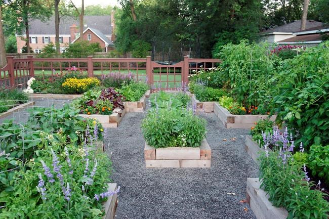 Farmers for hire turn backyards into vegetable patches | iNFOnews.ca