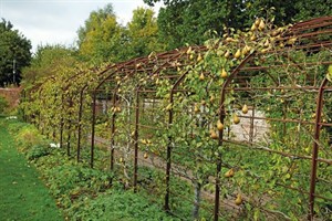 Gardens have provided privacy, peace for famous authors, artists to perfect their craft | iNFOnews.ca CP31839111