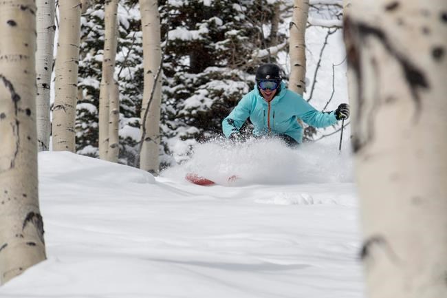 At Deer Valley, it pays to see the powder through the trees | iNFOnews.ca