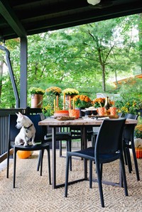 Ask a Designer: stylish fall decorating for the outside of the house | iNFOnews.ca
