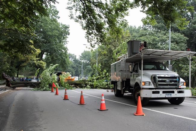 Big tree falls in Central Park, injuring woman and 3 kids | iNFOnews.ca