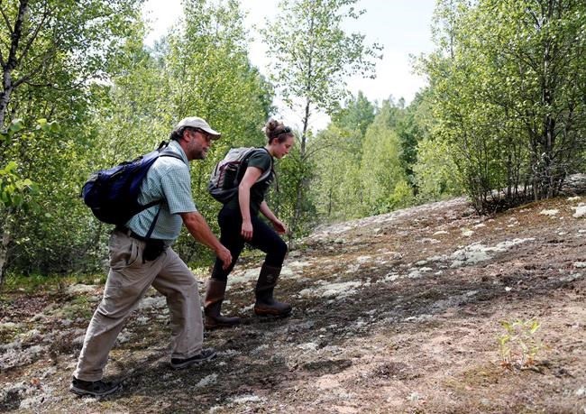 Millions of orchids grow on former mine site in upstate NY | iNFOnews.ca
