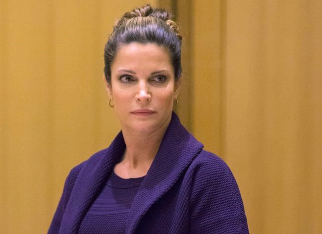 Stephanie Seymour completes alcohol program; charges dropped | iNFOnews.ca