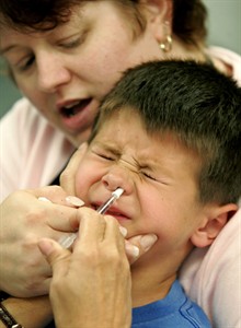 Do-it-yourself flu vaccine? Military study suggests people can give themselves the nasal spray | iNFOnews.ca
