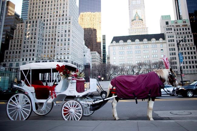 NYC to move horse-carriage boarding area into Central Park | iNFOnews.ca