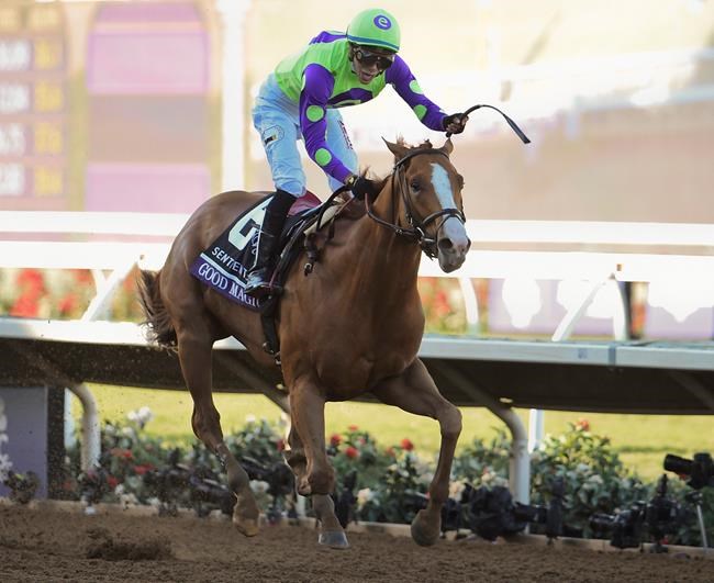 Catholic Boy wins Travers Stakes at Saratoga | iNFOnews.ca