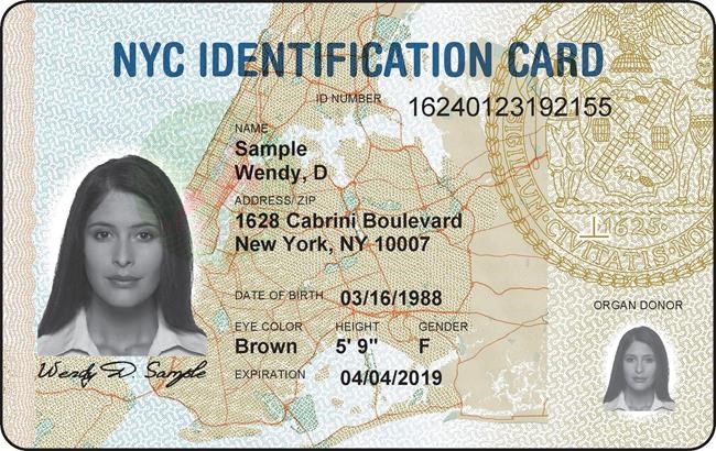 New York won't keep ID card applicants' records in future | iNFOnews.ca