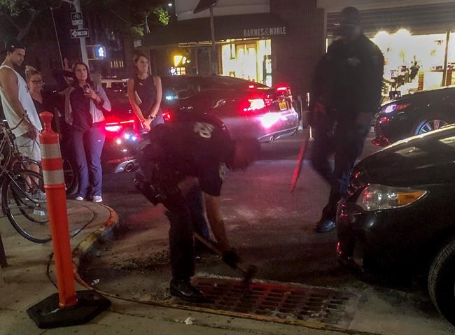 Ducks, stuck, loose: Police rescue 3 ducklings from grate | iNFOnews.ca Ducks, stuck, loose: Police rescue 3 ducklings from grate | iNFOnews.ca