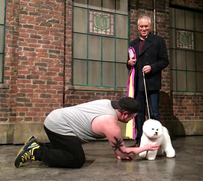 Truly best in show: Westminster winner makes Broadway debut | iNFOnews.ca