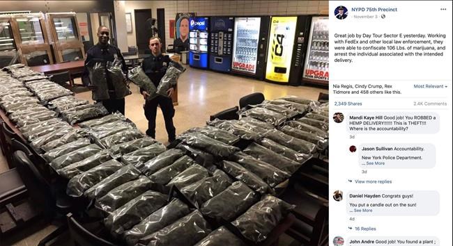 Charges dropped, brothers in hemp-pot mixup look to sue NYC | iNFOnews.ca