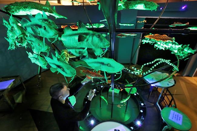 'Unseen' museum exhibit to depict glow-in-the-dark creatures | iNFOnews.ca