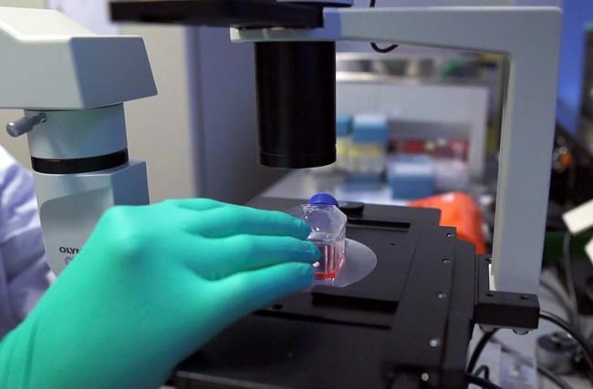 Dutch virus infections fall 20% but variants gain strongly | iNFOnews.ca Dutch virus infections fall 20% but variants gain strongly | iNFOnews.ca