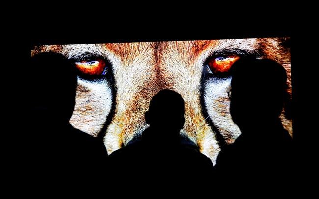 In reversal, CES gadget show won't be in-person after all | iNFOnews.ca In reversal, CES gadget show won't be in-person after all | iNFOnews.ca