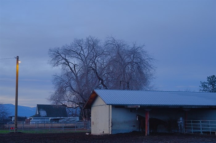 iN PHOTOS: Blue hour sets moody ambiance in Okanagan, Kamloops | iNFOnews.ca