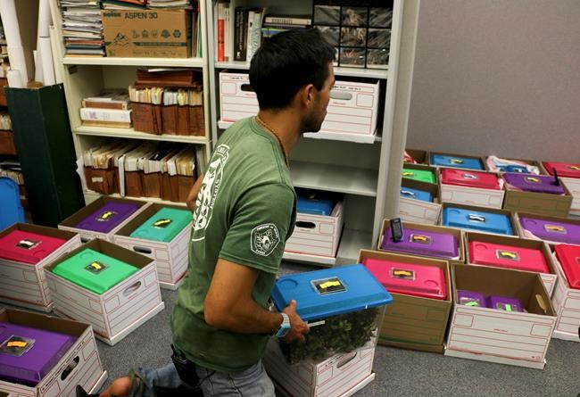 Hurricane Lane floods homes as some swim in powerful waves | iNFOnews.ca Hurricane Lane floods homes as some swim in powerful waves | iNFOnews.ca