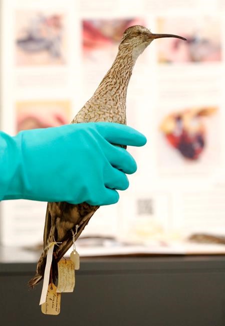 Unlocking secrets from extinct species stored at Ohio State | iNFOnews.ca