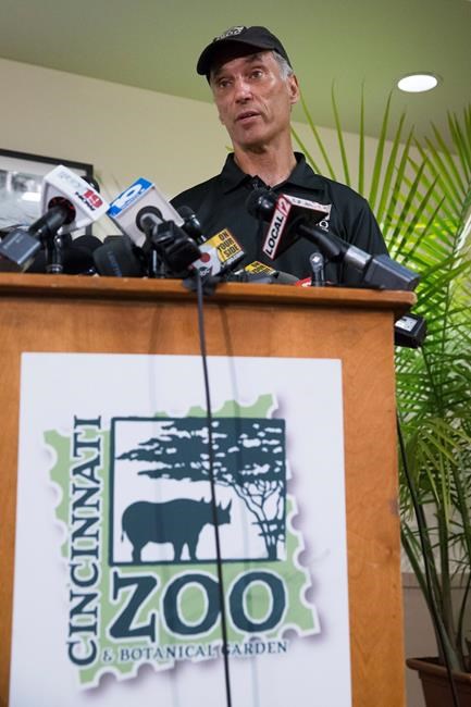 Ohio prosecutor reviewing Cincinnati Zoo case | iNFOnews.ca