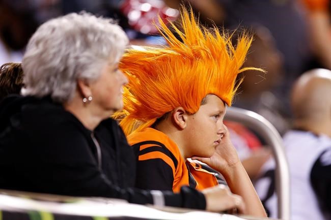 Watson runs for TD, leads Texans over Bengals 13-9 in debut | iNFOnews.ca