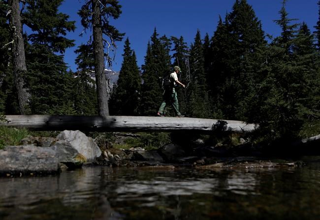 Forest Service closer to wilderness area permit proposal | iNFOnews.ca Forest Service closer to wilderness area permit proposal | iNFOnews.ca