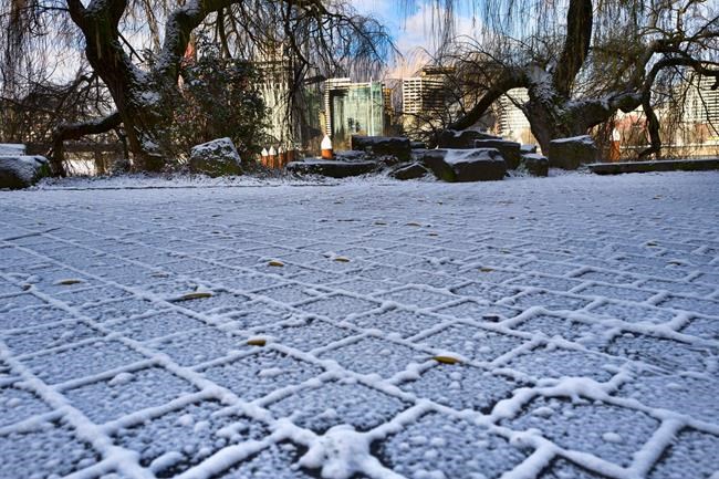 Snow blankets Utah as winter storms pounds West | iNFOnews.ca