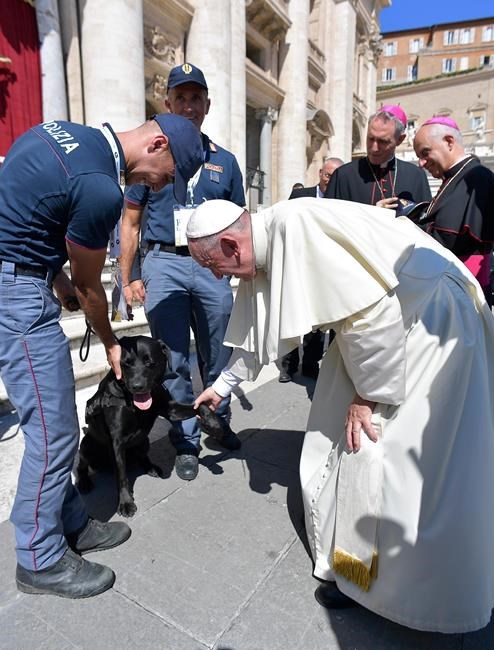 Pope hails volunteers on eve of Mother Teresa sainthood | iNFOnews.ca