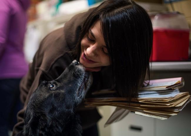 Family's dog turns up 10 years after vanishing from home | iNFOnews.ca