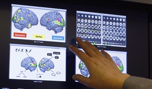 Perusing Harry Potter for science? Scans show brain activity as readers get caught in a story | iNFOnews.ca CP30872578