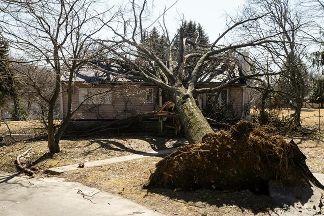 The Latest: Northeast's highest peak records 144 mph gust | iNFOnews.ca