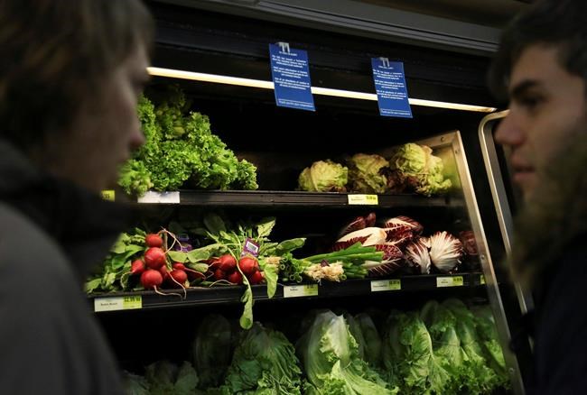 Americans, Canadians are warned not to eat romaine lettuce | iNFOnews.ca