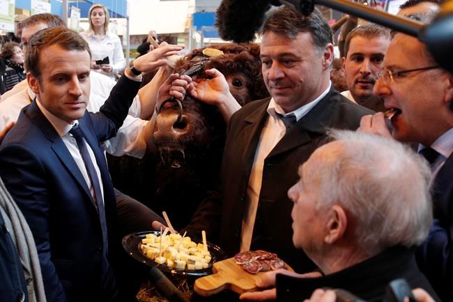 Fillon vows to stay in French race amid defections | iNFOnews.ca