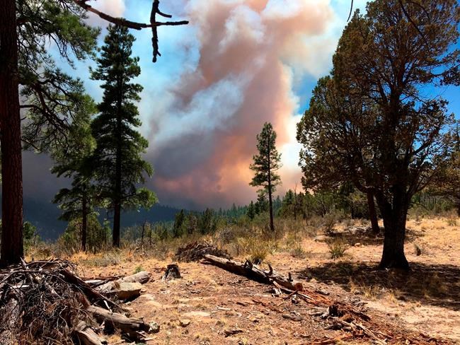 Dry conditions, strong winds worry firefighters in Arizona | iNFOnews.ca