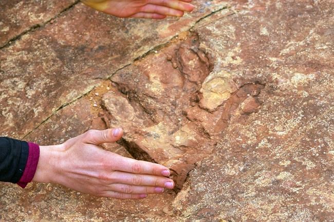Dinosaur tracks at Utah park dislodged, thrown into lake | iNFOnews.ca